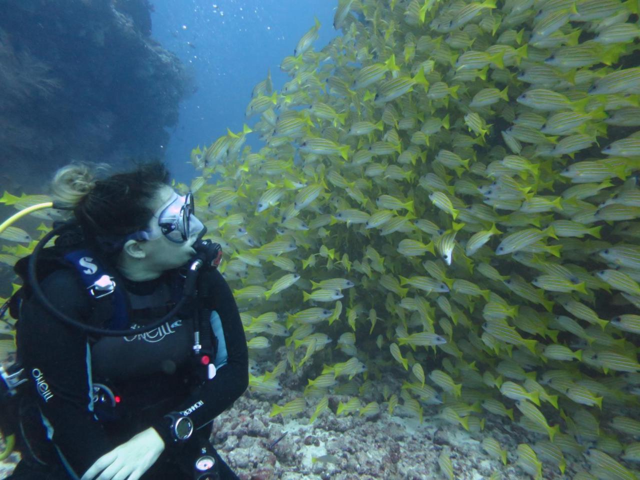 South Ari Dive Center Hotel Dhangethi Exterior foto