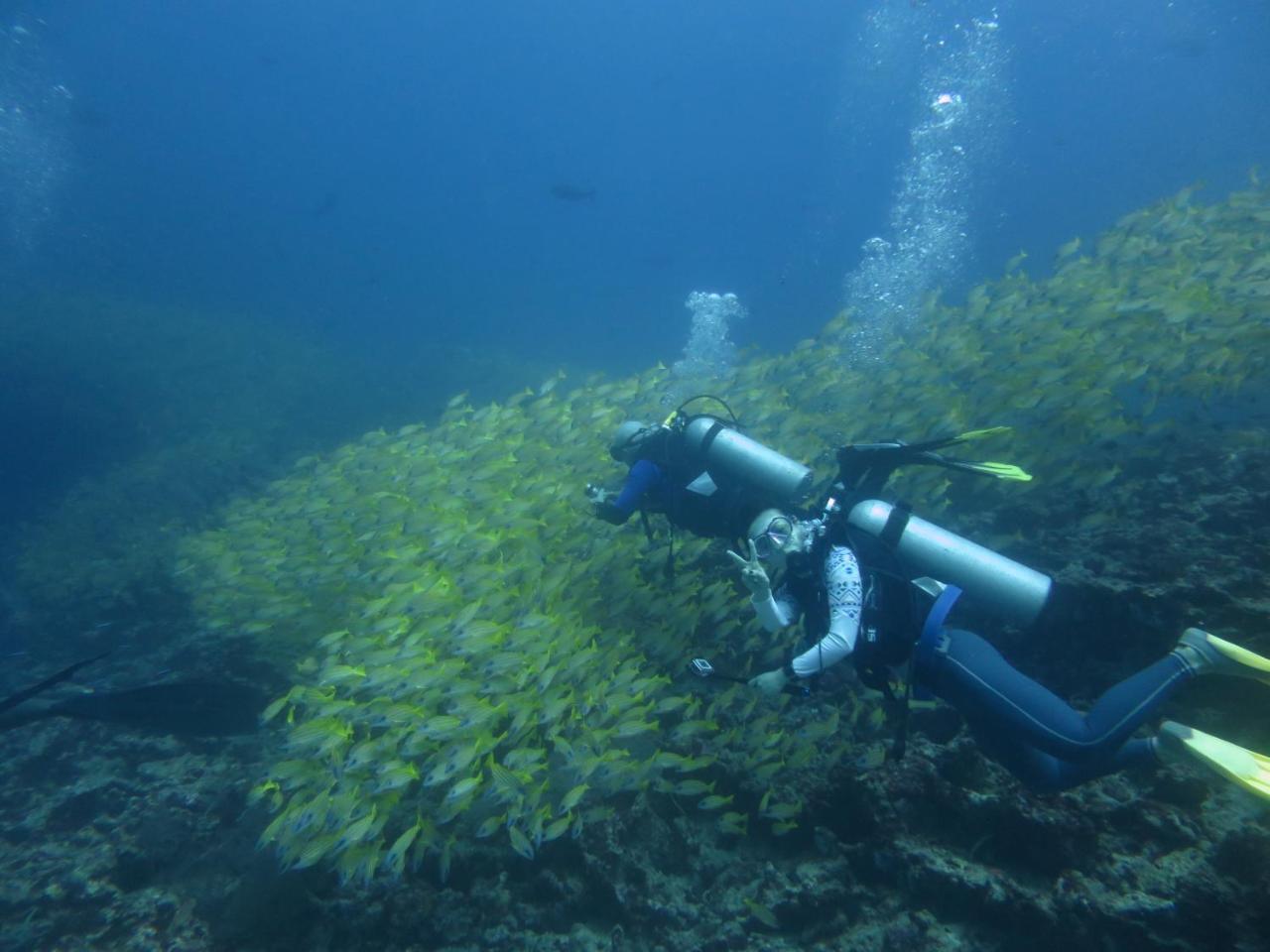 South Ari Dive Center Hotel Dhangethi Exterior foto